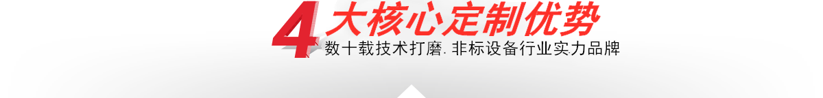 本公司—4大定制核心優勢 本公司—4大核心定制優勢